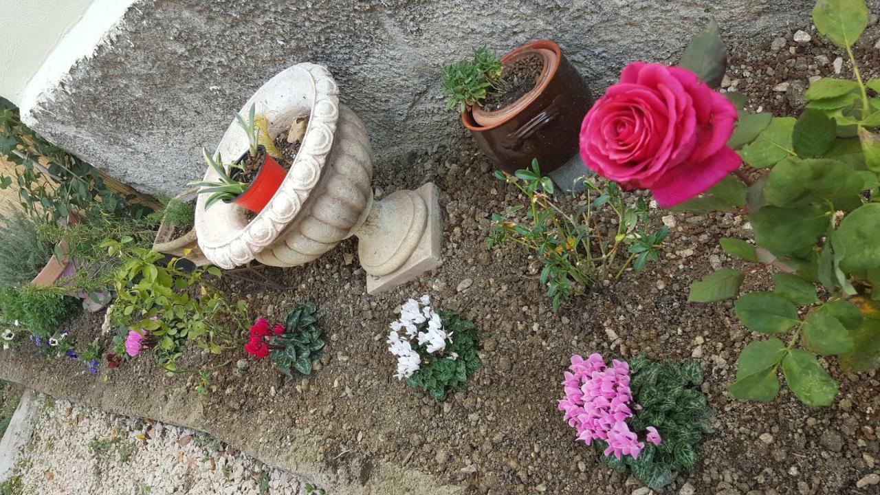 B&B In Sabina Poggio Nativo Luaran gambar